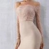 Birthday Suit Jessica Bara Finley Off The Shoulder Lace Bandage Midi Dress
