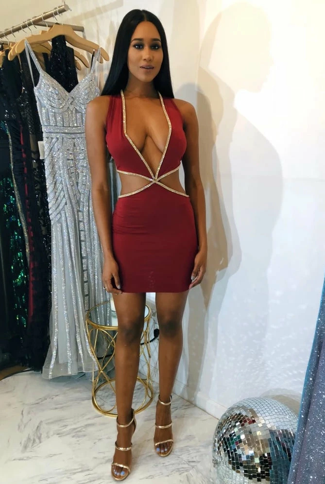 Vie Sauvage Vanessa Crystal Dress