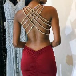 Vie Sauvage Vanessa Crystal Dress