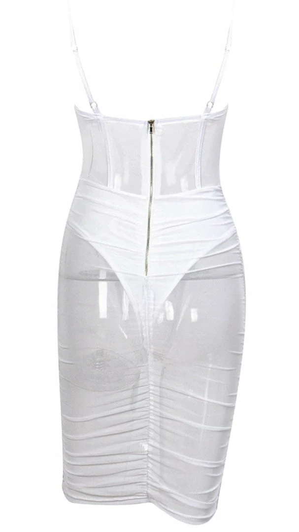 Birthday Suit Jessica Bara Amaya Mesh Bodycon Mini Dress