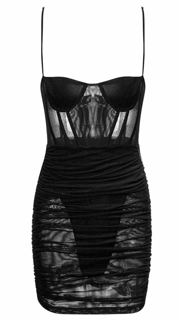 Birthday Suit Jessica Bara Amaya Mesh Bodycon Mini Dress