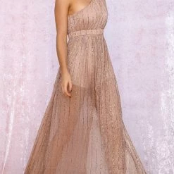 The Event Shop Jessica Bara Jemima One Shoulder Sheer Maxi Dress