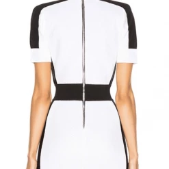 Jessica Bara Clash Color Block Bodycon Dress
