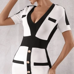 Jessica Bara Clash Color Block Bodycon Dress