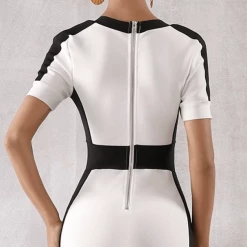 Jessica Bara Clash Color Block Bodycon Dress