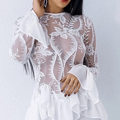 Jessica Bara Sorelle Sheer Lace Chiffon Top