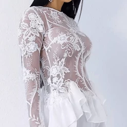 Jessica Bara Sorelle Sheer Lace Chiffon Top