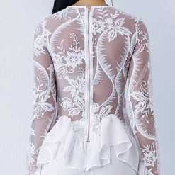 Jessica Bara Sorelle Sheer Lace Chiffon Top