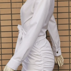 Jessica Bara Nicolette Mini Shirt Dress