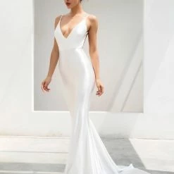 Jessica Bara Naija V-Neck Backless Gown