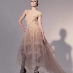 Dresses Nicole Bakti Tulle High Low Gown