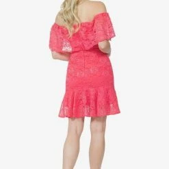 Posh Couture Off Shoulder Lace Dress