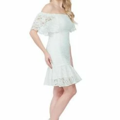 Posh Couture Off Shoulder Lace Dress