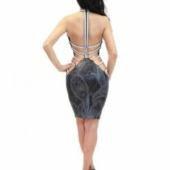 Birthday Suit Vie Sauvage Dallas Birdcage Dress