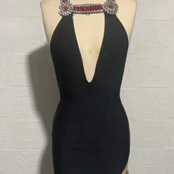 Birthday Suit Jessica Bara Svetlana Crystal V Neck Mini Dress