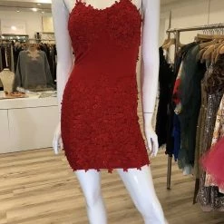 Jessica Bara Glenda Lace Backless Mini Dress