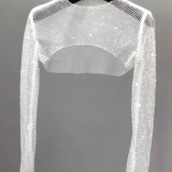 Jessica Bara Blaine Sparkling Mesh Long Sleeve Crop Top