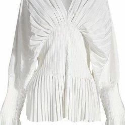 Jessica Bara Zaya Pleated Long Flare Sleeve Blouse The 9-5 Shop
