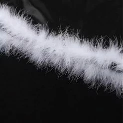 Birthday Suit Jessica Bara Kindra Feather Mini Dress And Gloves Two Piece Set