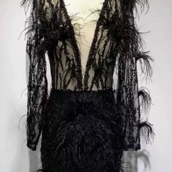 Influencer Style Jessica Bara Agnetha Long Sleeve Feather Beaded Dress