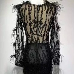 Influencer Style Jessica Bara Agnetha Long Sleeve Feather Beaded Dress