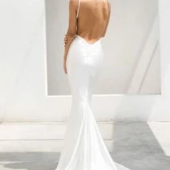 Best Sellers Jessica Bara Naija V-Neck Backless Gown