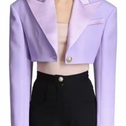 Jessica Bara Dixie Long Sleeve Cropped Blazer