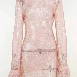 The Event Shop Jessica Bara Annaleigh Long Sleeve Feather Mesh Dress