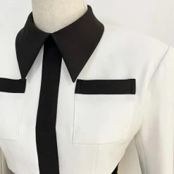 Jessica Bara Perry Long Sleeve Color Block Mini Dress