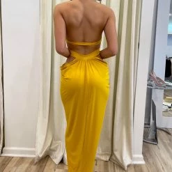 Influencer Style Jessica Bara Stassie Halter Neck Backless Maxi Dress