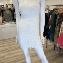 Jessica Bara Glenda Lace Backless Mini Dress