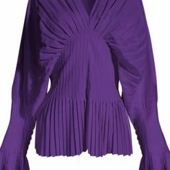 Jessica Bara Zaya Pleated Long Flare Sleeve Blouse The 9-5 Shop