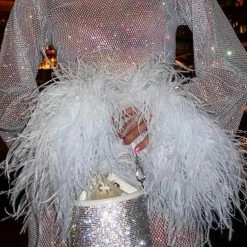 The Event Shop Jessica Bara Annaleigh Long Sleeve Feather Mesh Dress