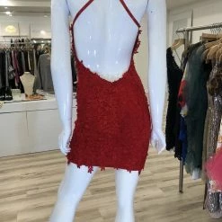 Jessica Bara Glenda Lace Backless Mini Dress