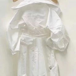 Jessica Bara Sejal Asymmetrical Shirt Dress