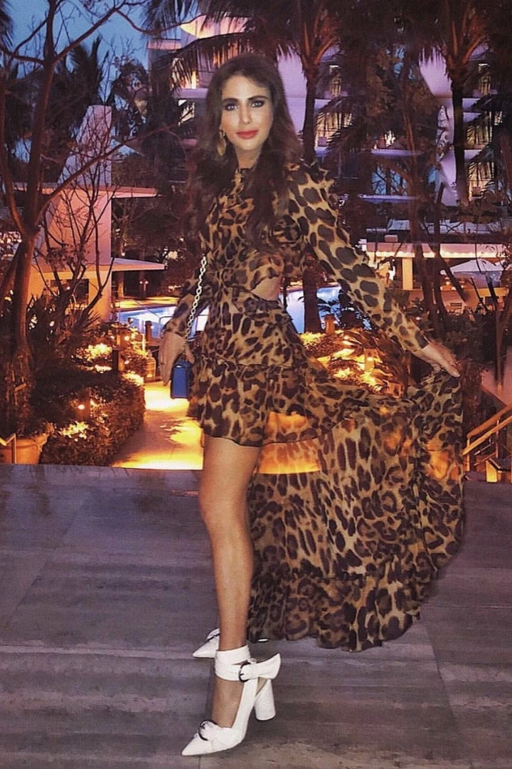 Jessica Bara Lynn Leopard Cut-Out Hi-Lo Long Sleeve Dress