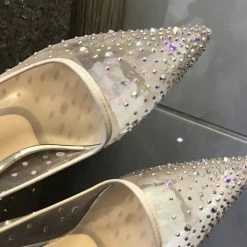 The Event Shop Jessica Bara Tracy Rhinestone Pointed Toe Heel