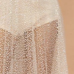 Birthday Suit Jessica Bara Gracen Sheer Glitter Belted Maxi Dress