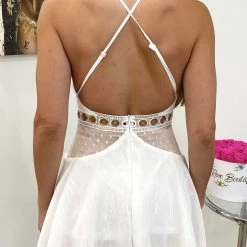 Jessica Bara Lydia Lace Mesh Mini Dress Dresses