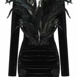 Jessica Bara Zanthipe Long Sleeve Velvet Feather Dress