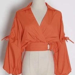 Jessica Bara Nori Long Sleeve V Neck Collared Crop Top