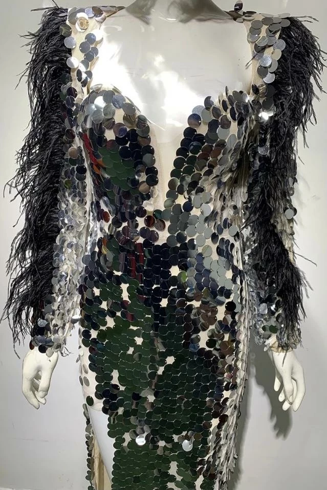 Influencer Style Jessica Bara Azariah Long Feather Sleeve Sequin Gown