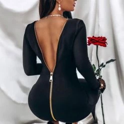 Birthday Suit Jessica Bara Wyatt Zipper Long Sleeve Midi Dress