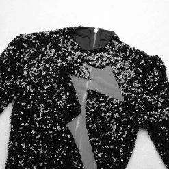 Jessica Bara Spencer Irregular Mesh Cut Out Sequin Gown